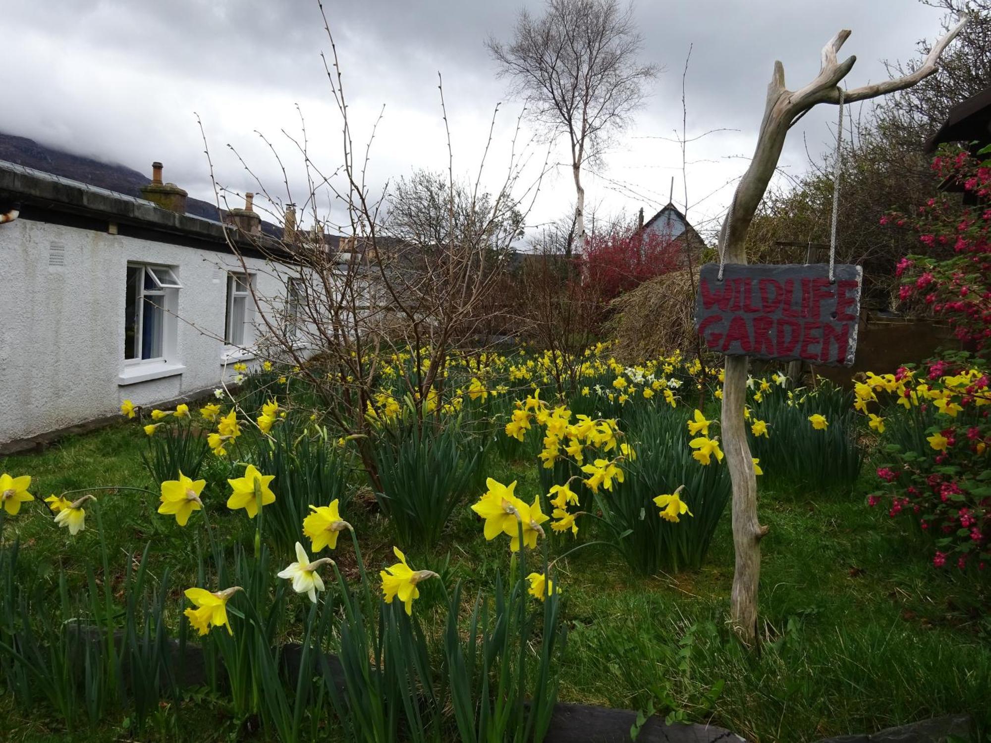 Ullapool Youth Hostel Bagian luar foto